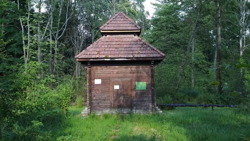 Джерело у парку санаторію у Великому Любені (фото ZAXID.NET)