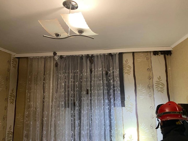 Зграю кажанів виявили в квартирі на вулиці Загородній (фото ДСНС)