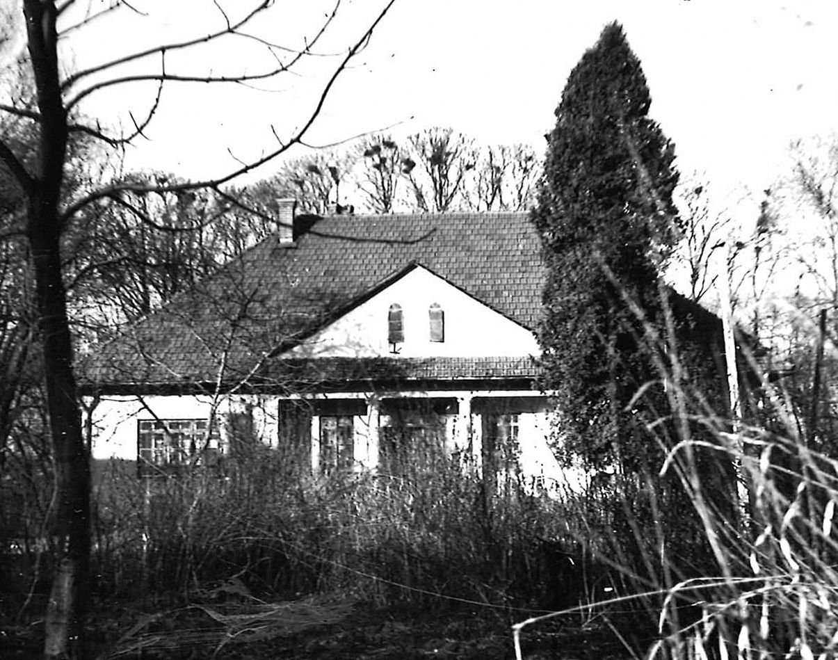 фото проєкту «Палац Розділ»