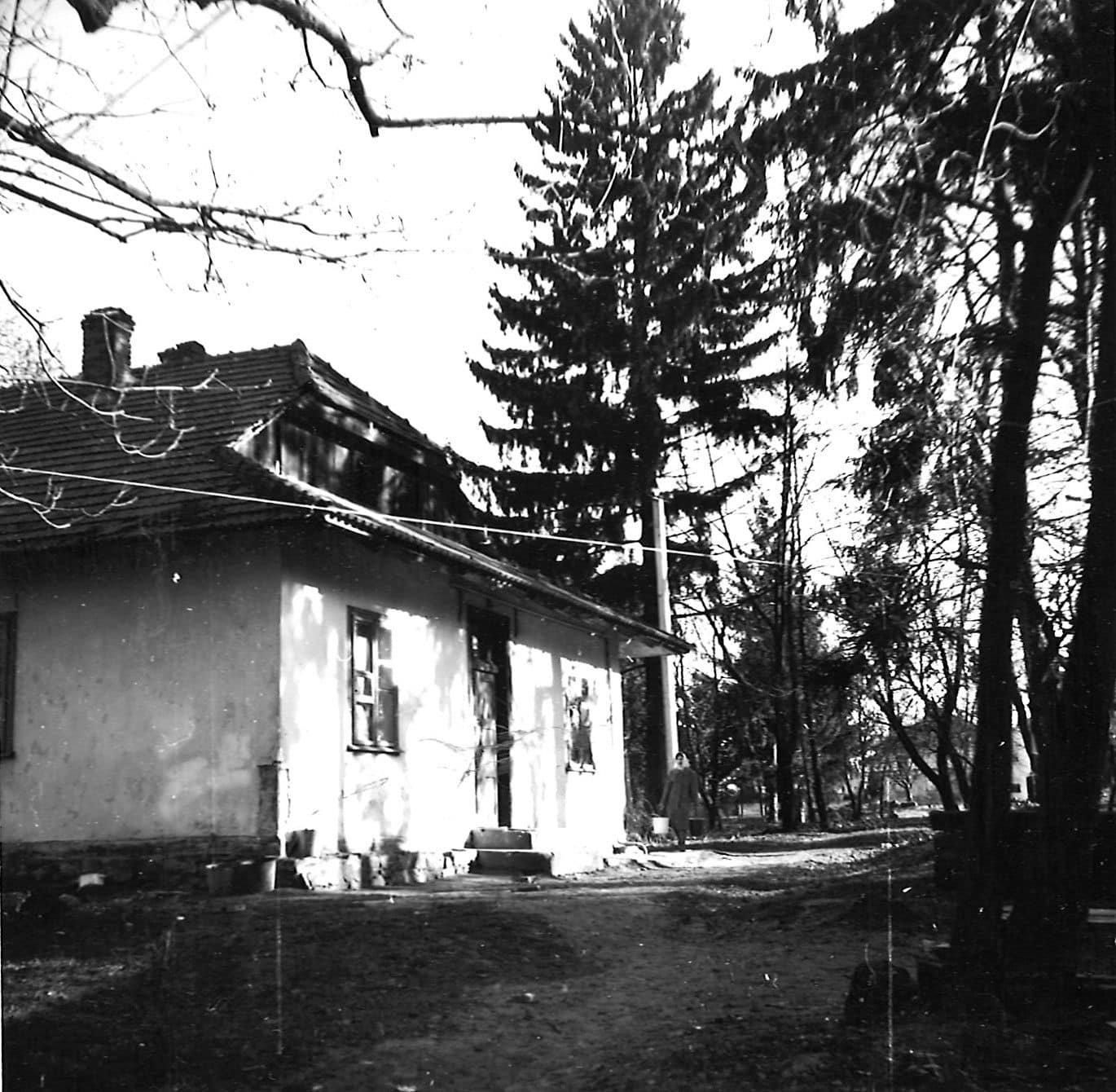 фото проєкту «Палац Розділ»