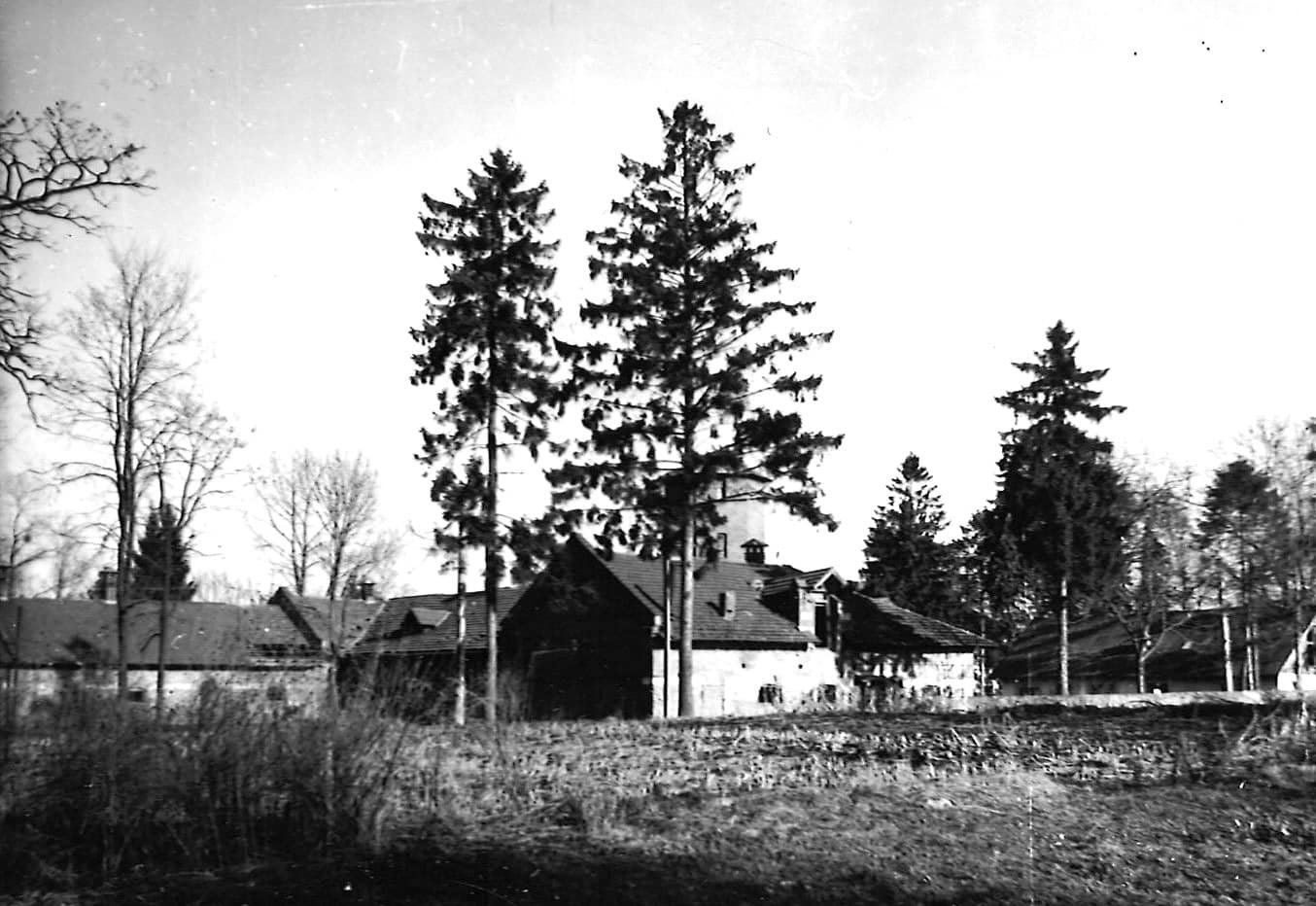 фото проєкту «Палац Розділ»