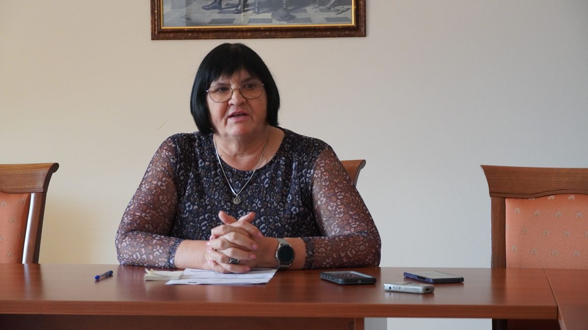 Президентка Закарпатського угорського інституту оприлюднила декларацію про доходи за 2023 рік