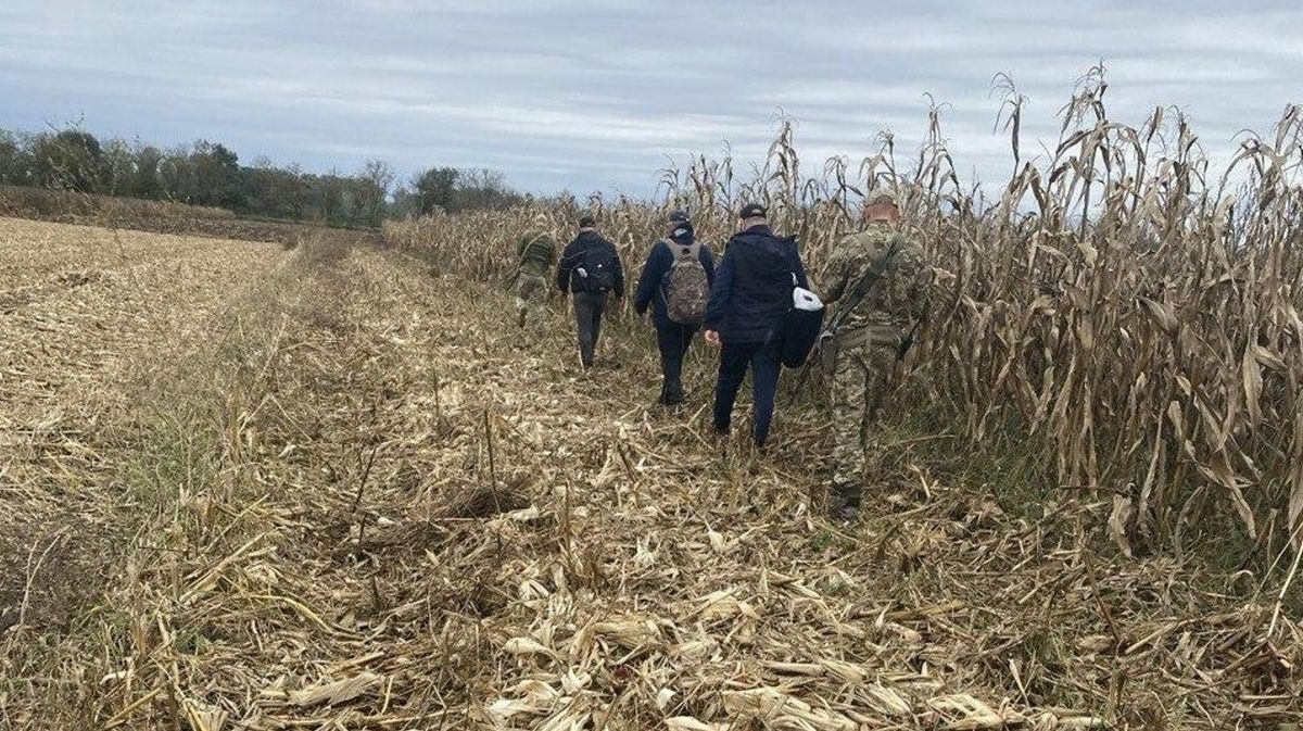 У кукурудзяному полі на Закарпатті затримали трьох ухилянтів з Тернопільщини