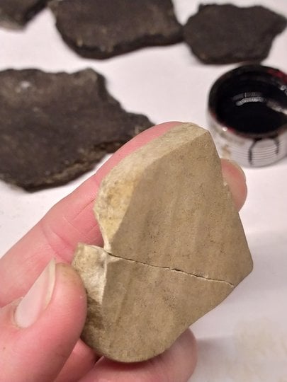 Давня кераміка Пліснеська