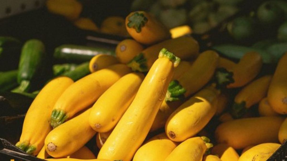 Що можна садити на місці кабачків, щоб не залишитися без врожаю