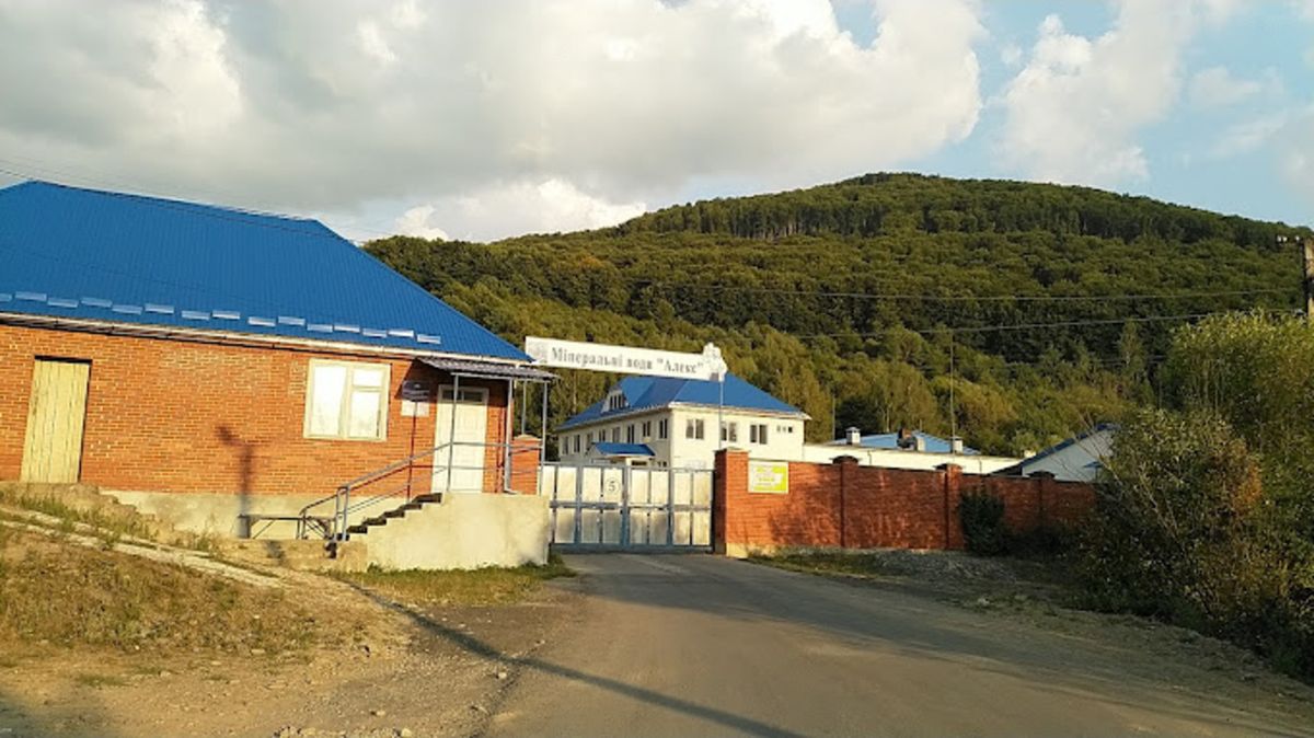Пов'язана із львівським бізнесменом фірма купила ще один дозвіл на видобуток води на Закарпатті