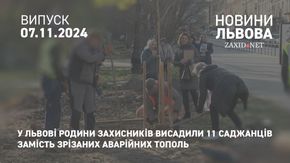 У Львові родини захисників висадили 11 саджанців замість зрізаних аварійних тополь