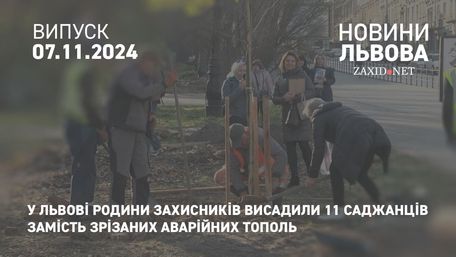 У Львові родини захисників висадили 11 саджанців замість зрізаних аварійних тополь