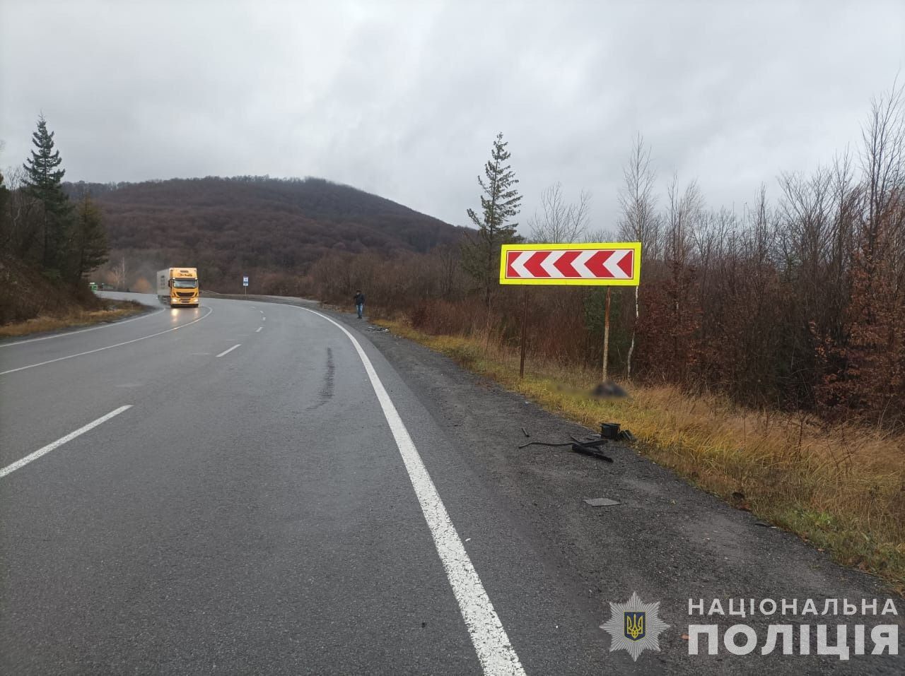 На Львівщині розшукали водія фури, який збив 56-річну закарпатку і залишив помирати