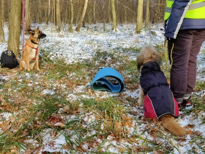 М'ята з Галиною Гончарук вирушає з бази відпрацьовувати навички пошуку людей в лісі