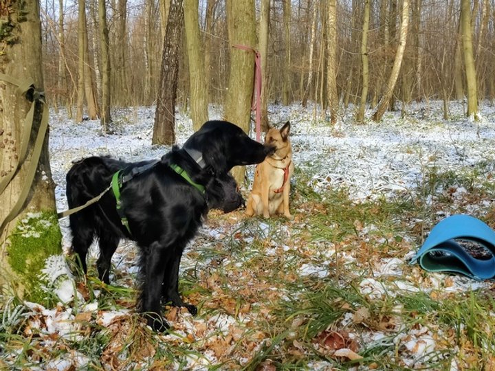 Альбусу і Спейсу не надто подобається очікування