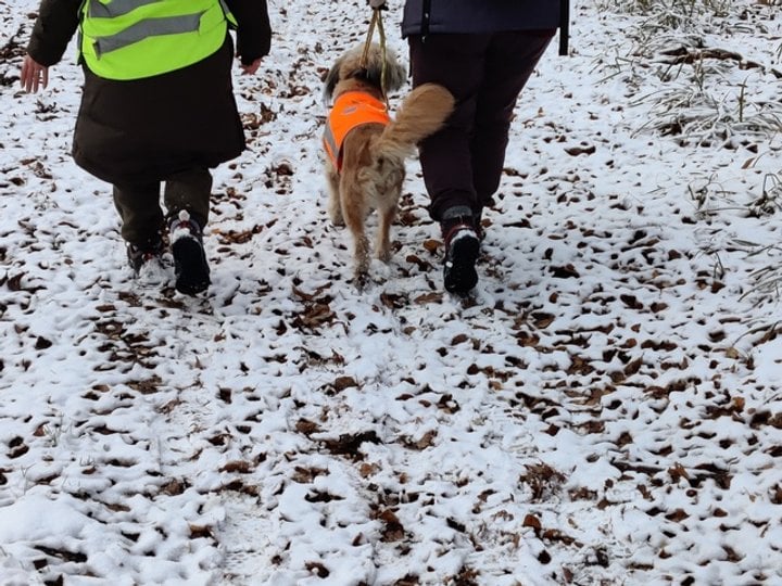 М'ята має знайти двох людей, надійно захованих тренерами в лісі на різній відстані
