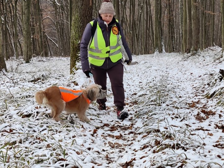 М'ята і Галина Гончарук