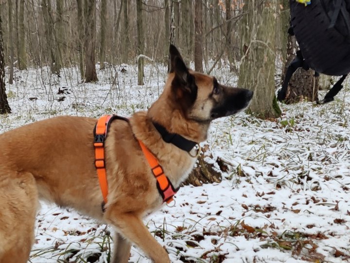Спейс готується виконувати команду