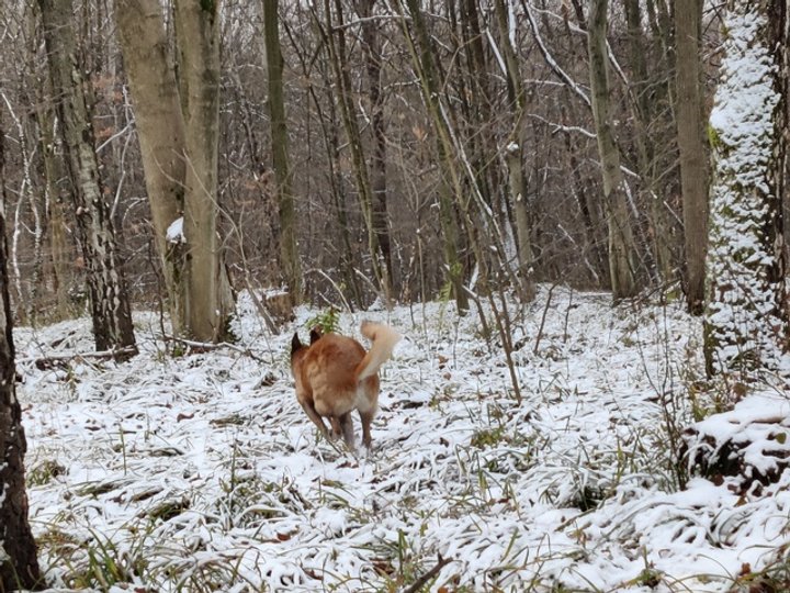 Спейс одразу вирушає на запах імовірної пропажі