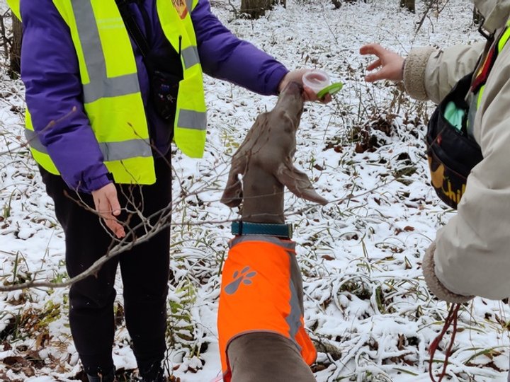 Каланте отримує свою винагороду за виконання вправи