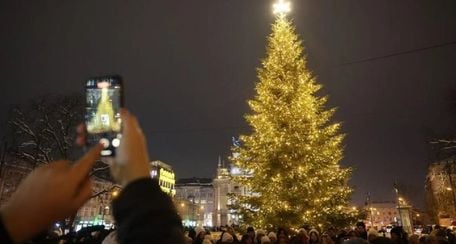 У Львівській міськраді розповіли, якою буде головна різдвяна ялинка