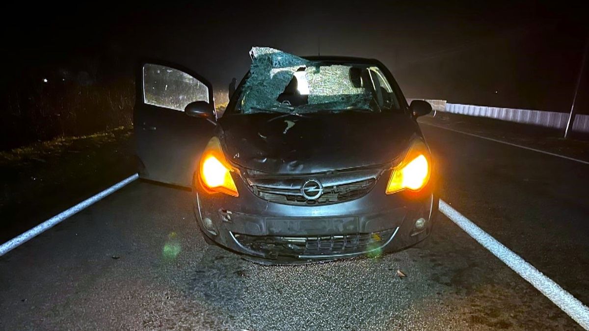 На трасі Стрий – Чернівці під Калушем водій Opel на смерть збив пішохода