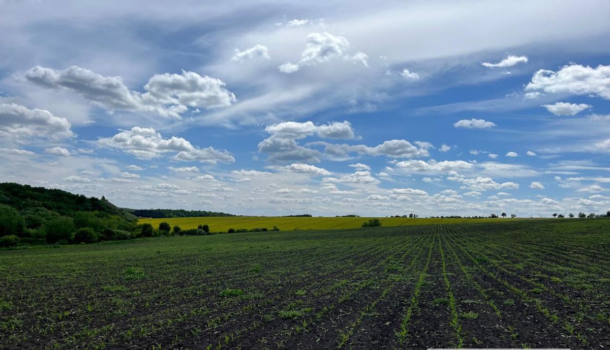На Тернопільщині землю пам'ятки археології з стародавніми поселеннями повернули державі