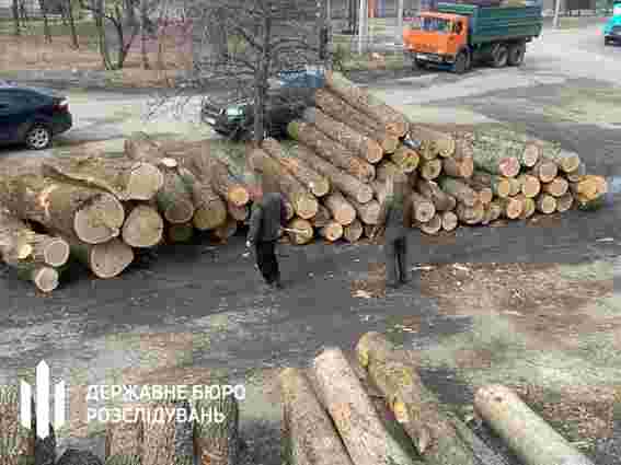 Посадовців лісгоспу на Сумщині судитимуть за махінації з деревиною 