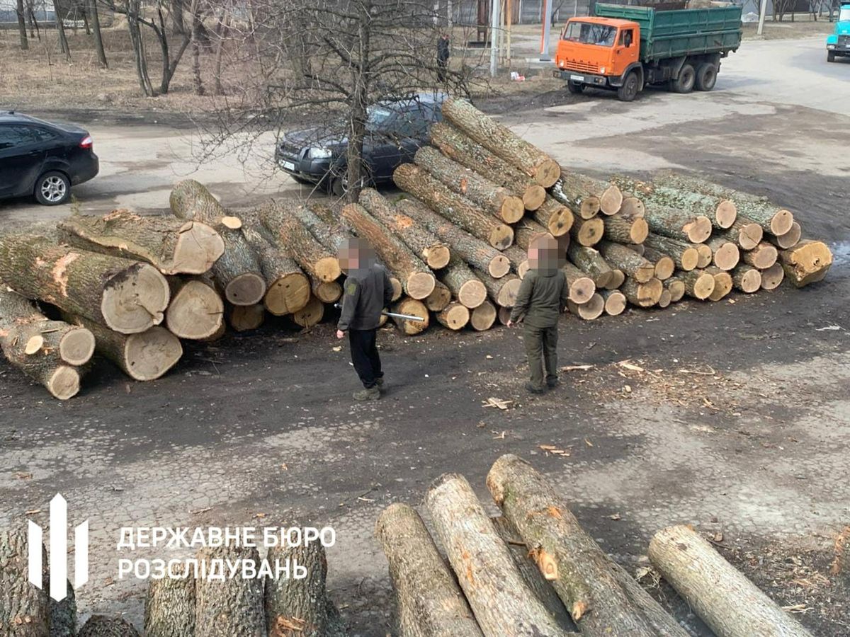 Посадовців лісгоспу на Сумщині судитимуть за махінації з деревиною 