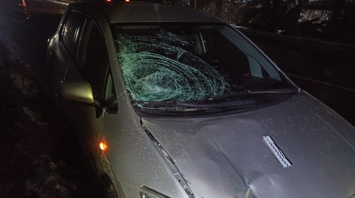 Біля Городка водій Toyota Auris на смерть збив пенсіонерку