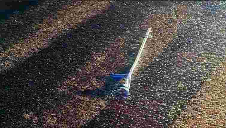 На Закарпатті 72-річний водій збив пішохода з інвалідністю і залишив помирати на дорозі