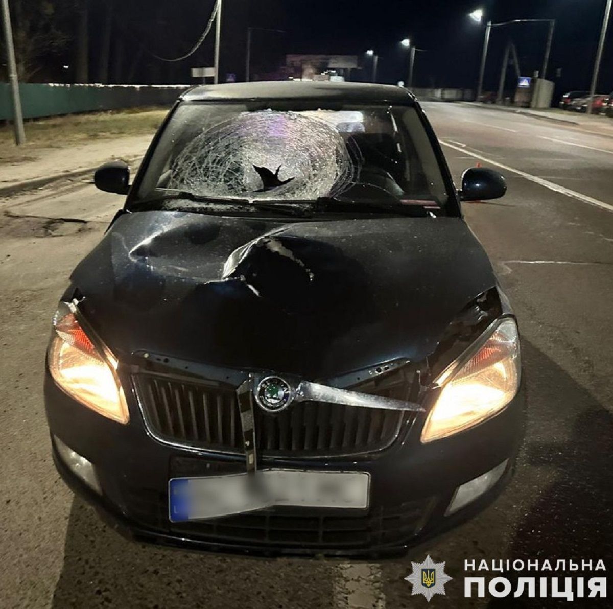 Львівський студент отримав 3 роки тюрми за смертельну ДТП біля Малехова