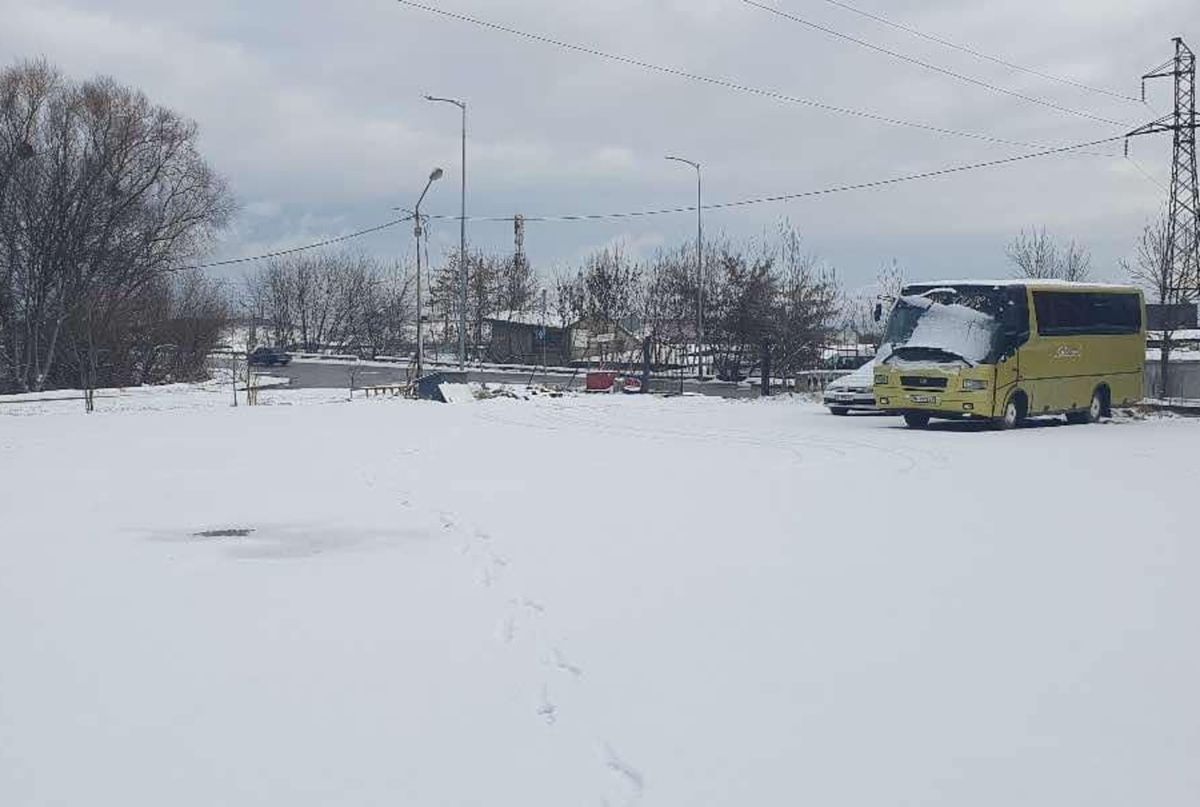 Підприємця з продажу авто змусили звільнити комунальну ділянку у Львові