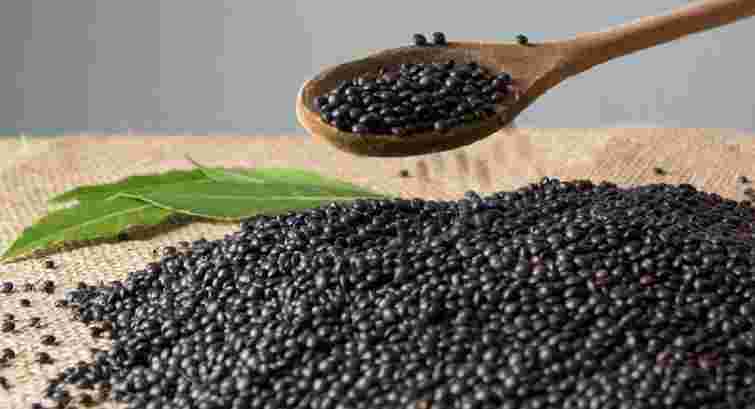 Чому чорну квасолю варто включати у раціон діабетикам, сердечникам і тим, хто хоче схуднути