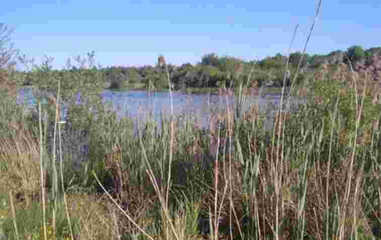 Ставок на Волині передали в 25-річну оренду підприємиці за пів мільйона гривень