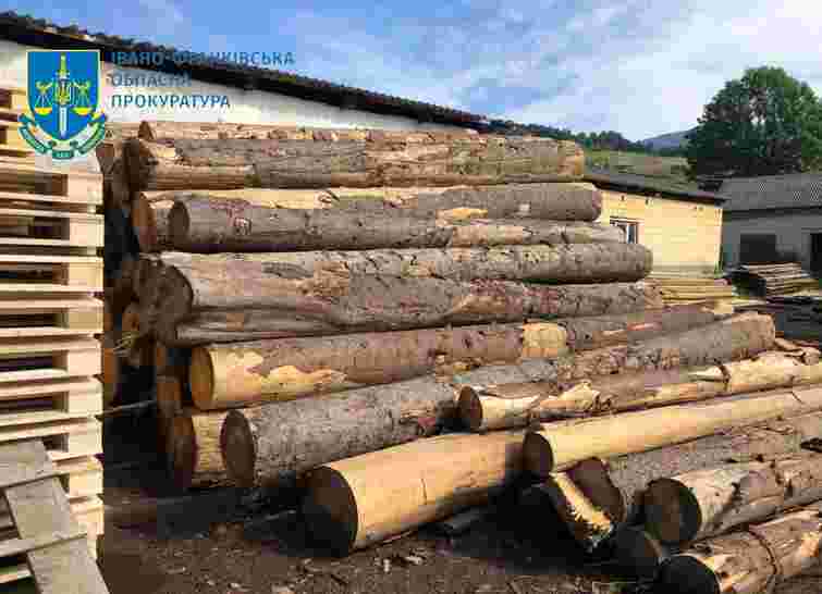 На Прикарпатті посадовці лісгоспу влаштували масштабну вирубку у нацпарку «Гуцульщина»