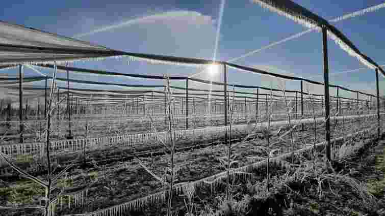 Підготовка ґрунту до нового сезону після зимових морозів: як відновити родючість