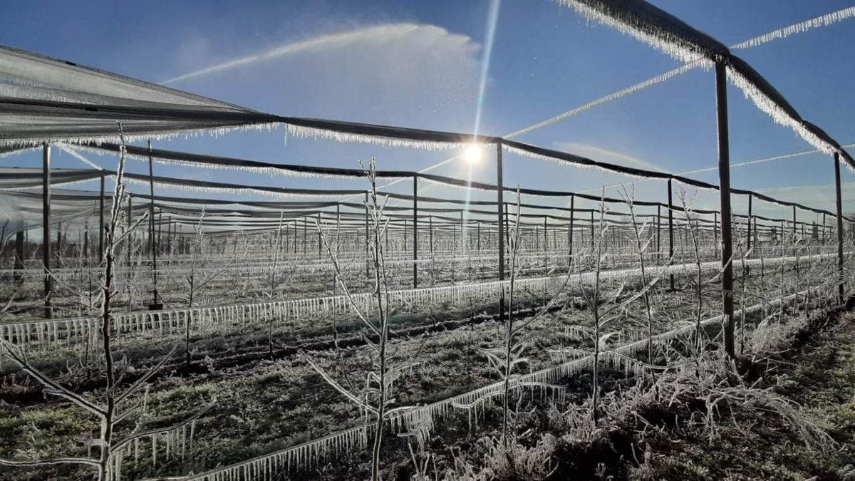 Підготовка ґрунту до нового сезону після зимових морозів: як відновити родючість