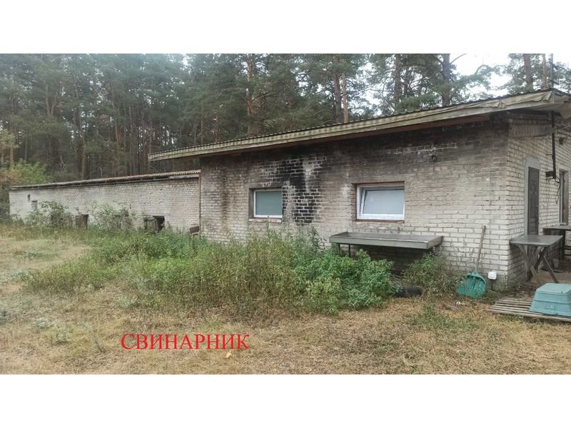 27 січня відбувся аукціон з продажу комплексу для утримання тварин на Волині (фото Prozorro)