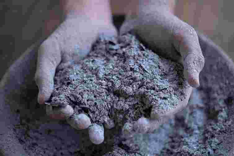 Весною точно згодиться: яке безкоштовне натуральне добриво підготувати ще взимку 