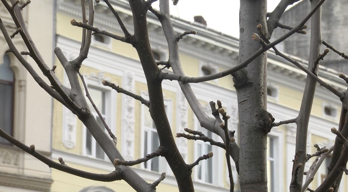 Синоптики зафіксували у Львові вже четвертий за січень температурний рекорд