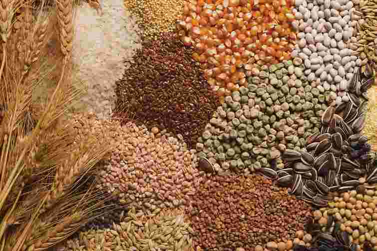 Не купуйте насіння: як вирощувати рослини з власного врожаю