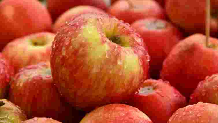 Як обрати солодкі та соковиті яблука: 4 ознаки ідеального фрукта Як обрати солодкі та соковиті яблука: 4 ознаки ідеального фрукта