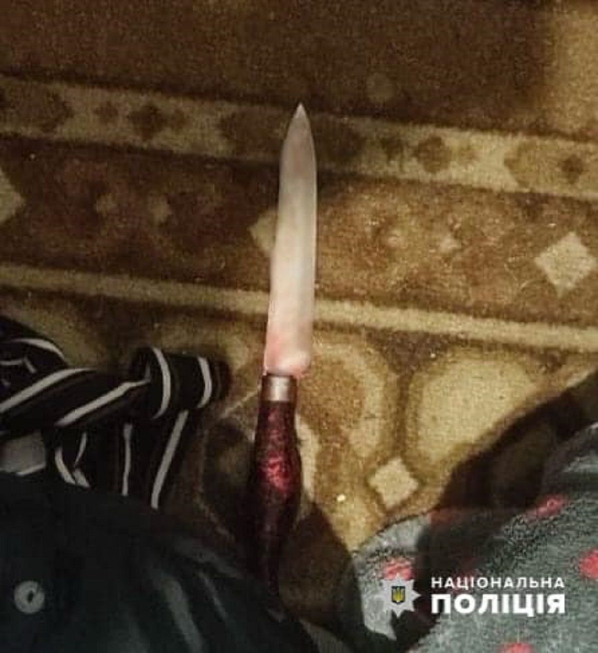 На Дніпропетровщині затримали 17-річну дівчину за підозрою у вбивстві власного дідуся