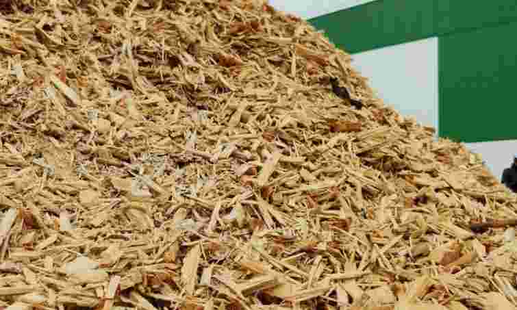 Не розсипайте тирсу на городі: загроза для врожаю, про яку ви не замислювалися