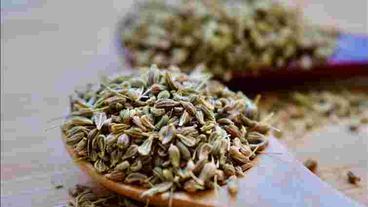 Чим обробити насіння кропу для багатого врожаю: особливості посіву Чим обробити насіння кропу для багатого врожаю: особливості посіву