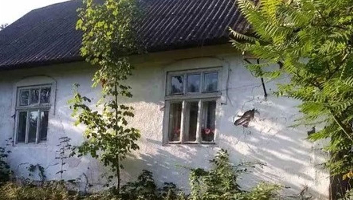 У Делятині продали з аукціону оцінену в 1 гривню будівлю ветеринарної лікарні