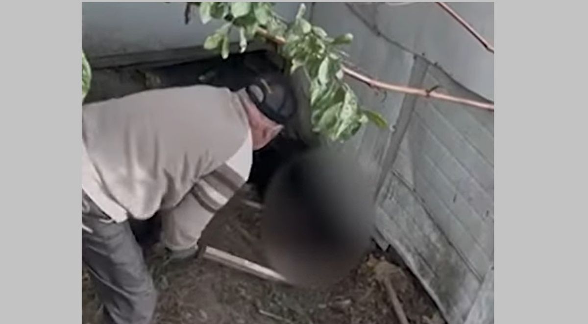 У Львові пенсіонера судили за вбивство собаки палкою