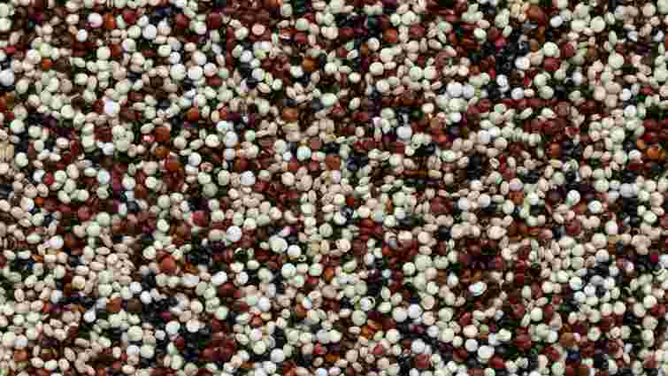 Як правильно приготувати кіноа: кулінарні секрети від шеф-кухаря 