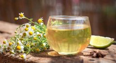 Чим корисний ромашковий чай і як його правильно приготувати