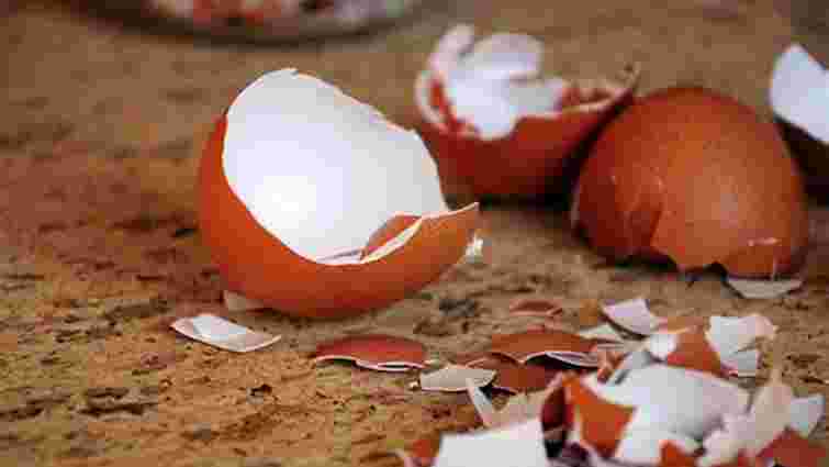 Яєчна шкаралупа та лушпиння картоплі: чи дійсно вони корисні для ваших рослин Яєчна шкаралупа та лушпиння картоплі: чи дійсно вони корисні для ваших рослин