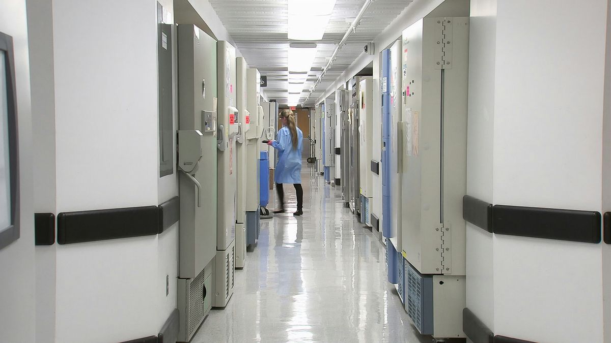 Польща оприлюднила витрати на лікування українців за три роки війни