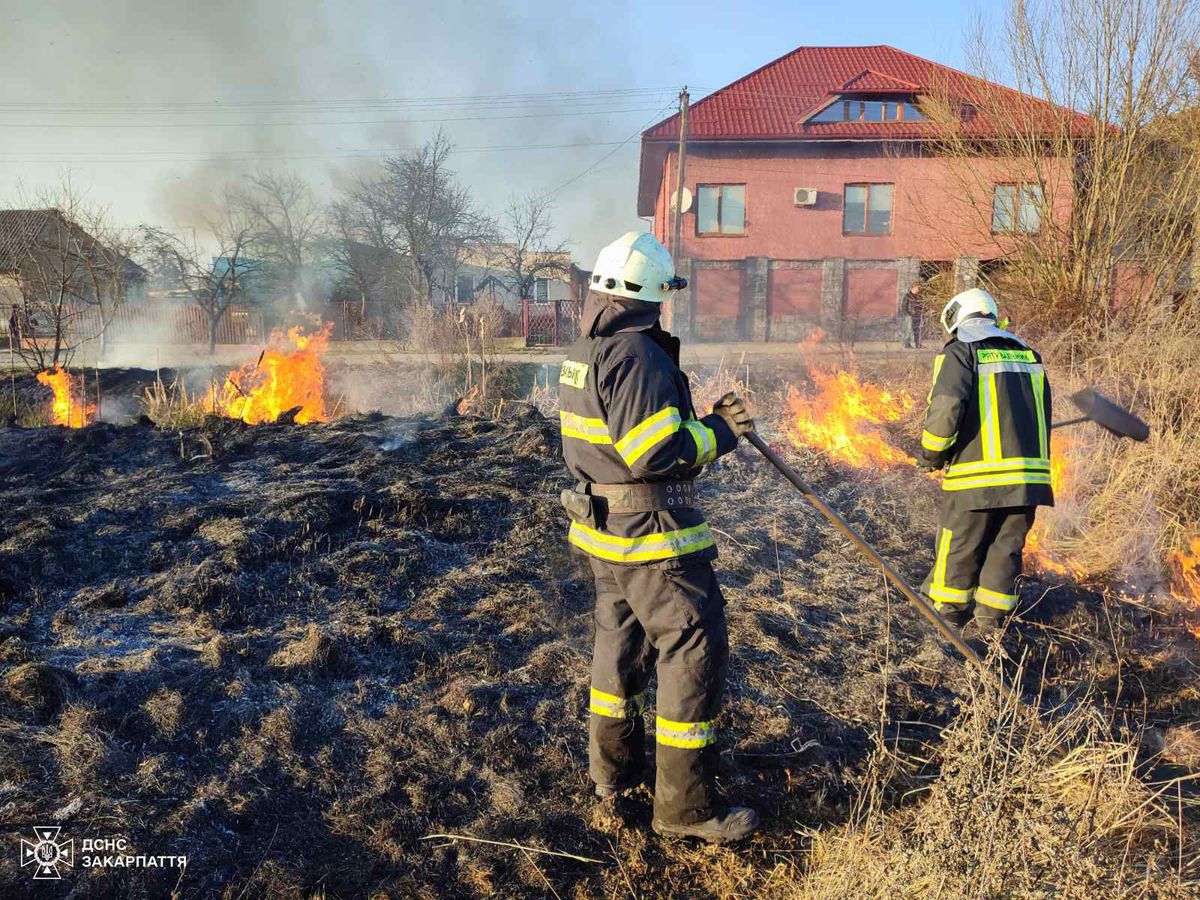 Під час спалювання сухої трави загинула 70-річна закарпатка