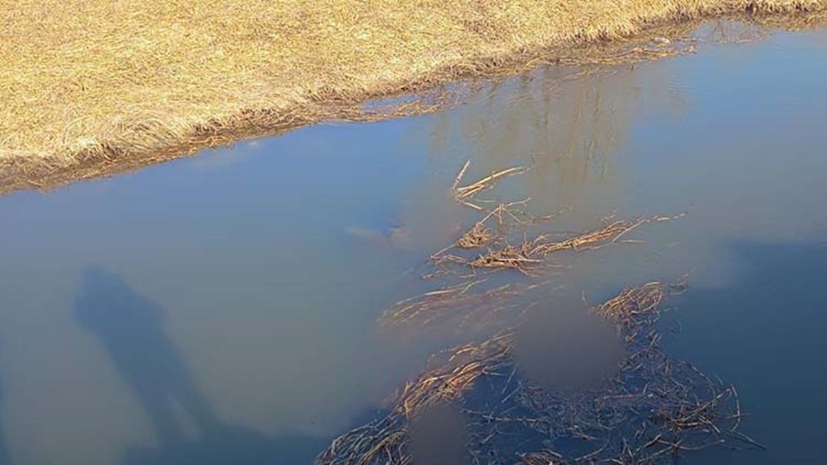 У річці на Тернопільщині виявили тіло чоловіка, якого розшукували майже два місяці